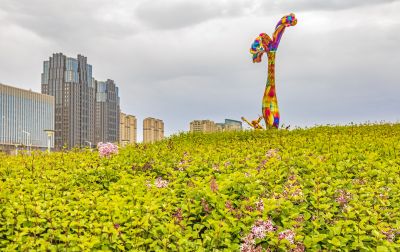 丁香公园丁香花开