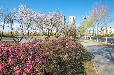 如画新区街景2