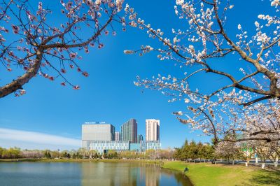 如画新区街景2
