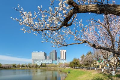 如画新区街景2