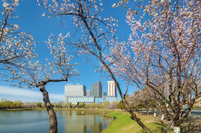 如画新区街景2