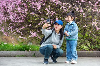 花开植物园