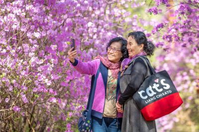 花开植物园