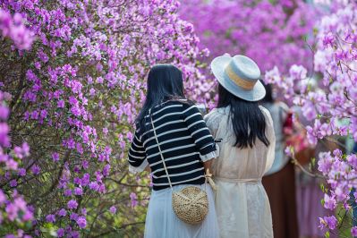 花开植物园