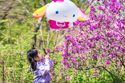 花开植物园