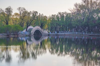 晨光中的太阳岛