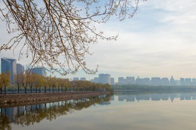 新区哈尔滨大剧院 一湖三岛江畔晨光美