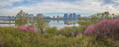 新区哈尔滨大剧院 一湖三岛江畔晨光美
