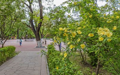 兆麟公园