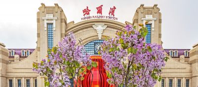 城市花开美景