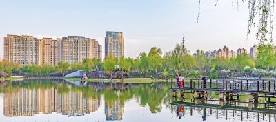 城市花开美景