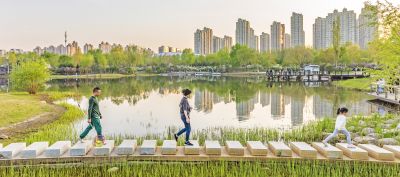 城市花开美景