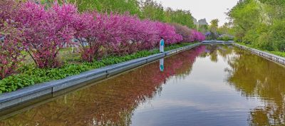 城市花开美景