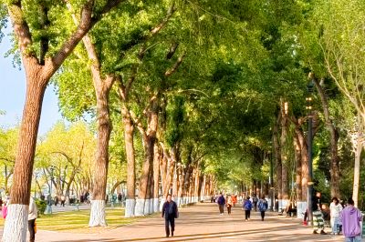 江畔防洪纪念塔斯大林公园