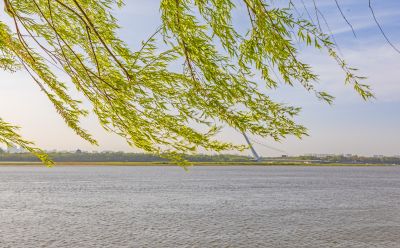 江畔斯大林公园初夏