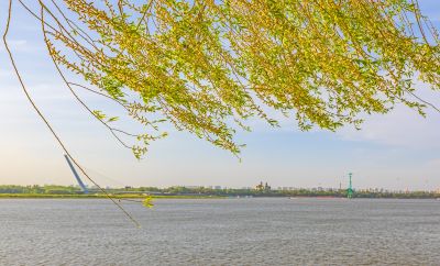 江畔斯大林公园初夏