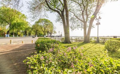 江畔斯大林公园初夏