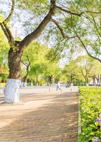 江畔斯大林公园初夏