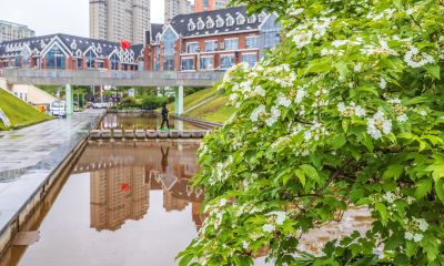 雨中的金河公园