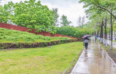雨中的金河公园
