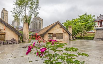 雨中的金河公园