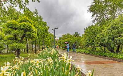 雨中的金河公园