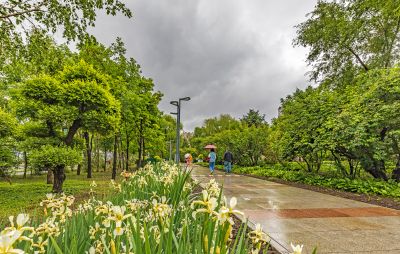 雨中的金河公园