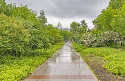 雨中的金河公园