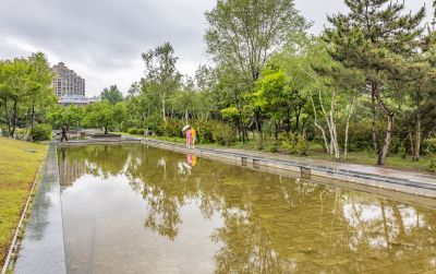 雨中的金河公园