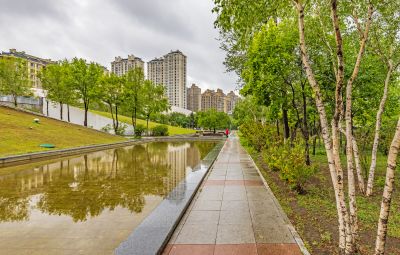 雨中的金河公园