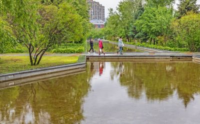 雨中的金河公园