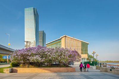 公路大桥旁丁香花盛开
