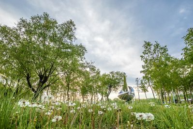 太阳岛上好风光
