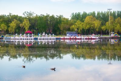 太阳岛上好风光