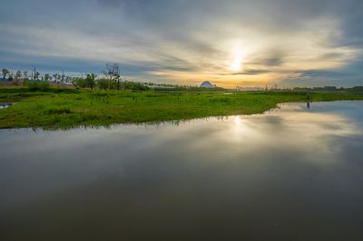 大剧院湿地晨光2