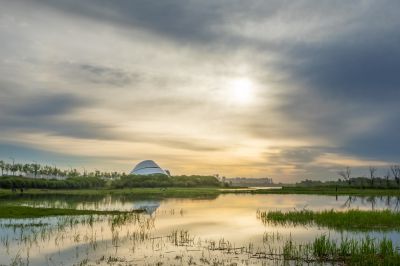 大剧院湿地晨光2