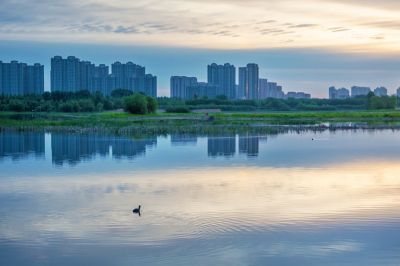 大剧院湿地晨光2