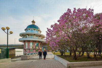 桥头花影儿1