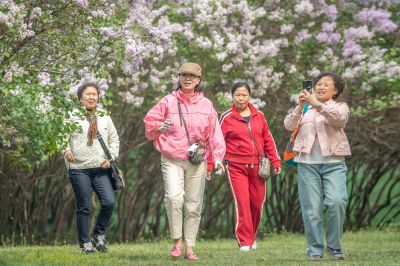 游人如织的丁香公园1