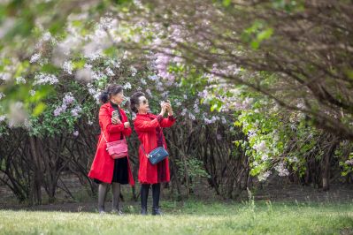 游人如织的丁香公园1