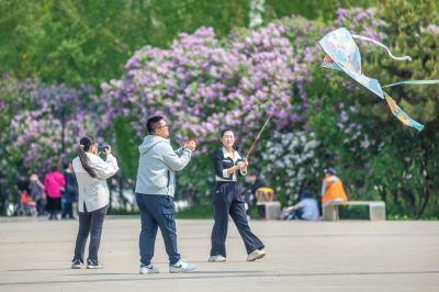 游人如织的丁香公园2