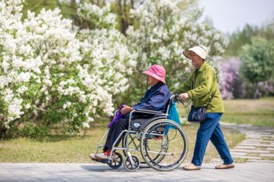 游人如织的丁香公园2