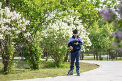游人如织的丁香公园2
