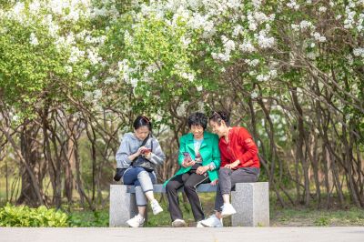 游人如织的丁香公园2