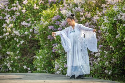 游人如织的丁香公园2