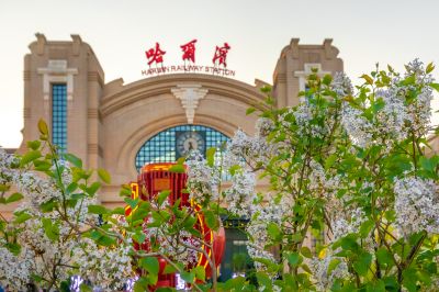花香四溢的哈尔滨火车站