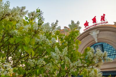 花香四溢的哈尔滨火车站