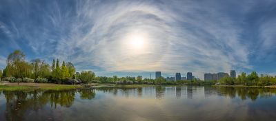 晨光中的丁香公园1