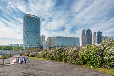 晨光中的丁香公园3