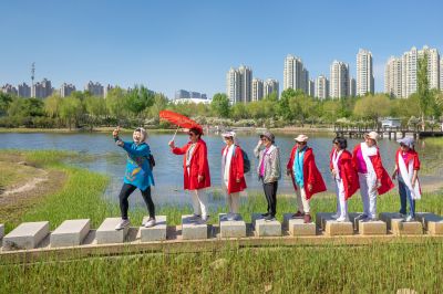 晨光中的丁香公园3
